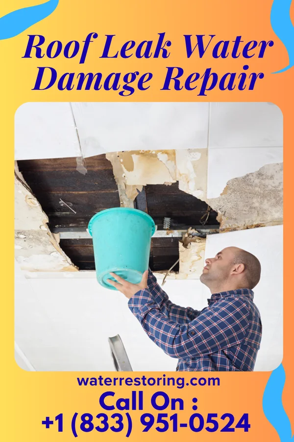 Roof Leak Water Damage Repair in Palmer, IA