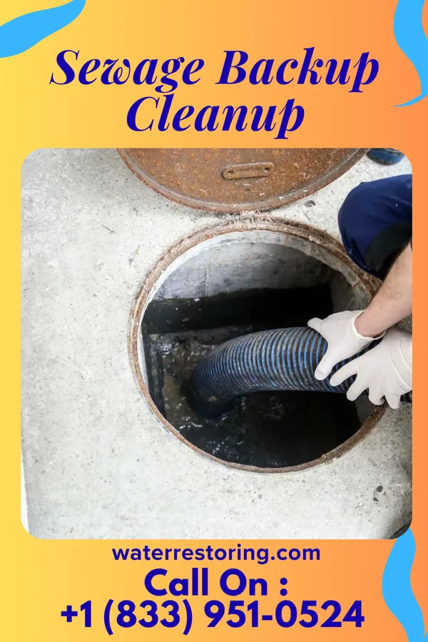 Sewage Backup Cleanup in Palmer, IA